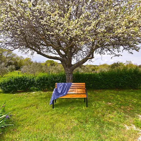 Palera 2327 Holiday home